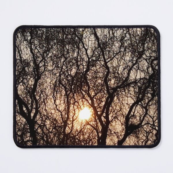 Item preview, Evening Light designed and sold by amanda150771.