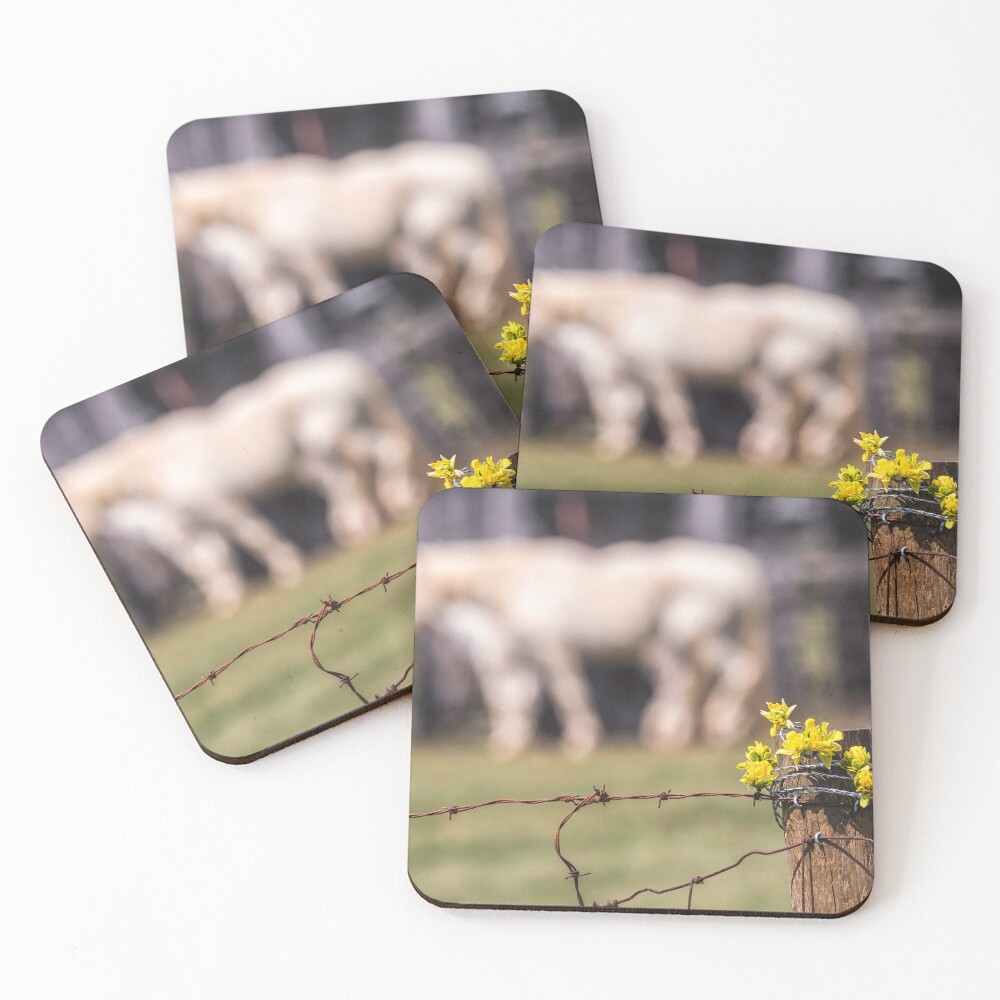 Item preview, Coasters (Set of 4) designed and sold by butterbean57.