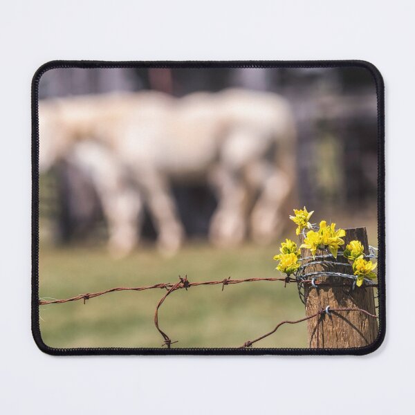 Item preview, Spring In The Barnyard designed and sold by Jim Love.