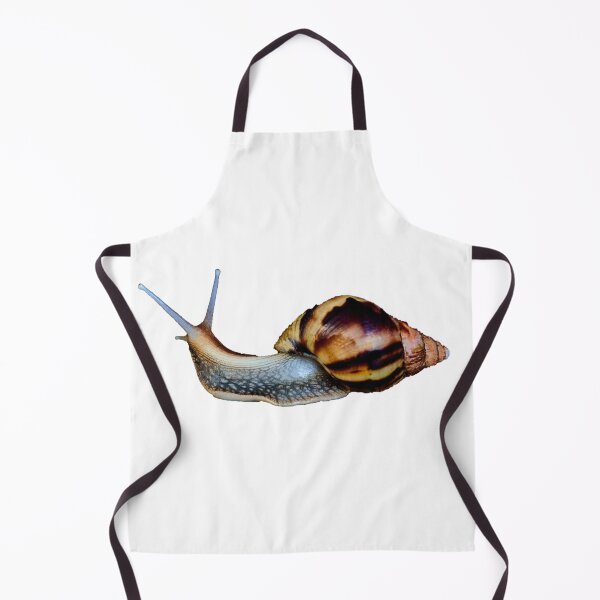 Item preview, Achatina snail designed and sold by IgorKovalenko.