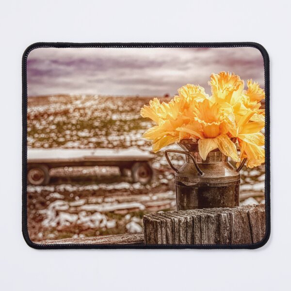 Item preview, Icy Spring Daffodils designed and sold by Jim Love.