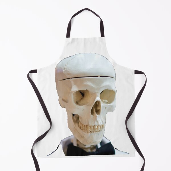 Item preview, human skeleton designed and sold by IgorKovalenko.