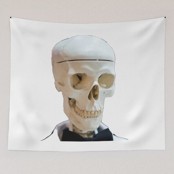 Item preview, human skeleton designed and sold by IgorKovalenko.