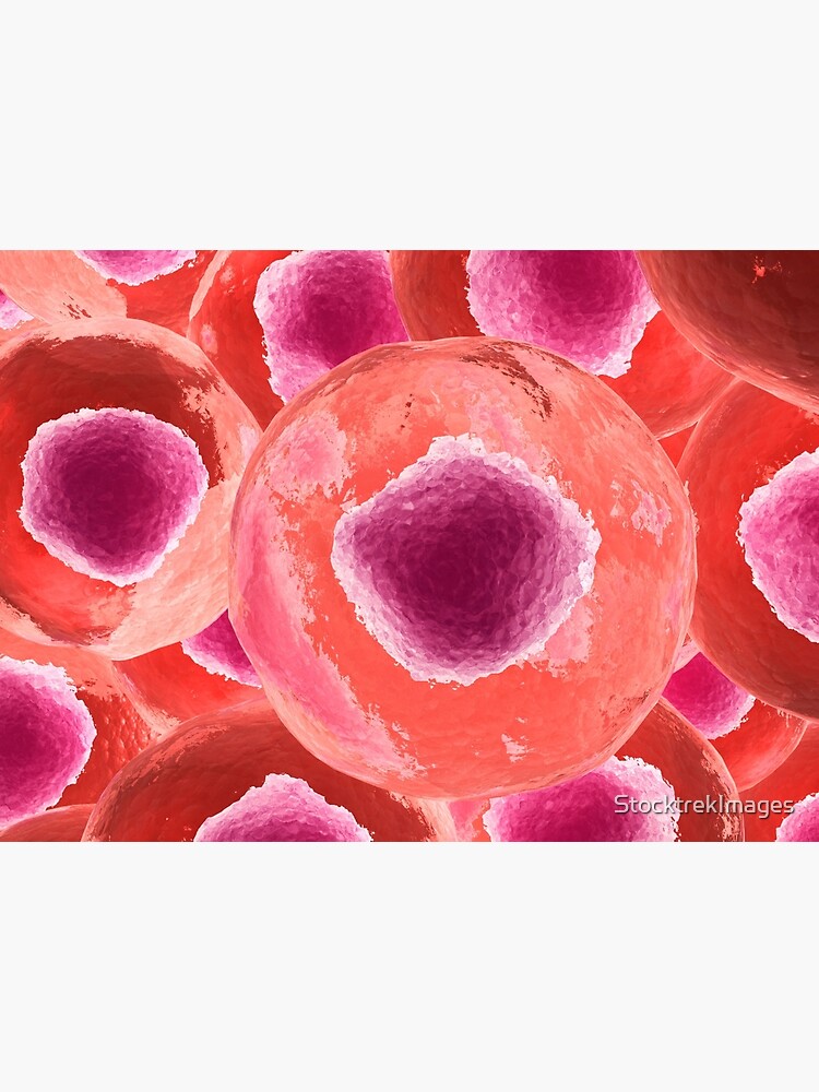 Microscopic view of animal cell. Microscopic view of animal cell.