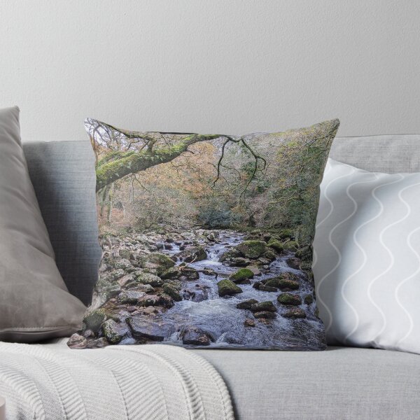 Aperçu de l'œuvre Rivière Woodland créée et vendue par FastRapidash.