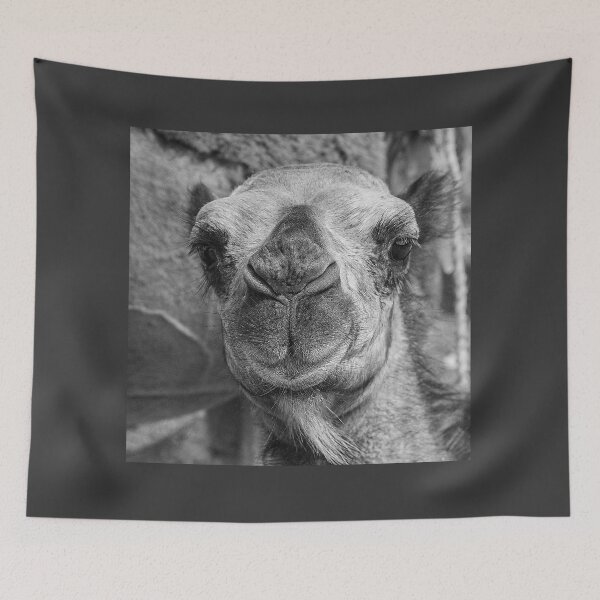 Item preview, 'Baby Camel' - eye-to-eye designed and sold by sleepingdogprod.