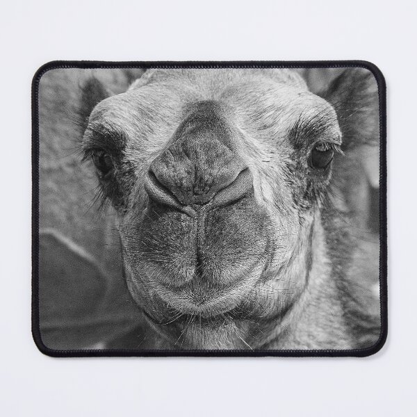 Item preview, 'Baby Camel' - eye-to-eye designed and sold by sleepingdogprod.