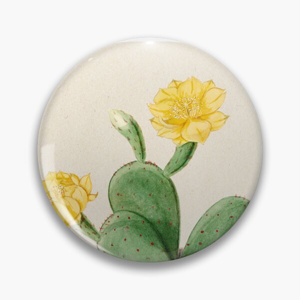 Item preview, Vintage Opuntia vulgaris botanical print from Familie Der Cacteen (1893-1905) designed and sold by Douglas E. Welch Design and Photography.