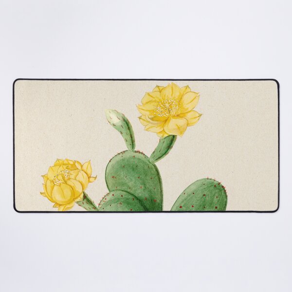 Item preview, Vintage Opuntia vulgaris botanical print from Familie Der Cacteen (1893-1905) designed and sold by Douglas E. Welch Design and Photography.