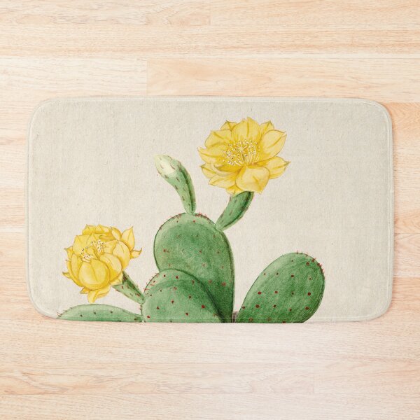 Item preview, Vintage Opuntia vulgaris botanical print from Familie Der Cacteen (1893-1905) designed and sold by Douglas E. Welch Design and Photography.