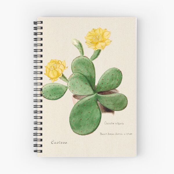 Item preview, Vintage Opuntia vulgaris botanical print from Familie Der Cacteen (1893-1905) designed and sold by Douglas E. Welch Design and Photography.