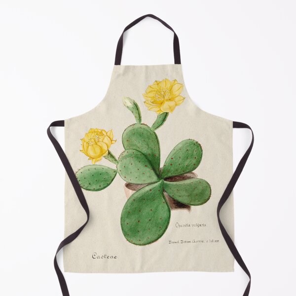 Item preview, Vintage Opuntia vulgaris botanical print from Familie Der Cacteen (1893-1905) designed and sold by Douglas E. Welch Design and Photography.