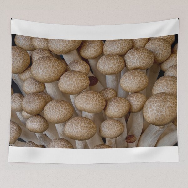 Item preview, Champignon mushrooms designed and sold by IgorKovalenko.