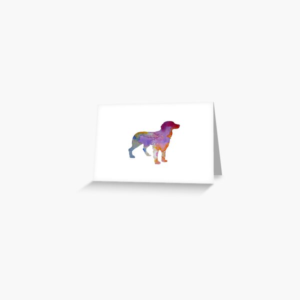 Brittany Spaniel Greeting Card