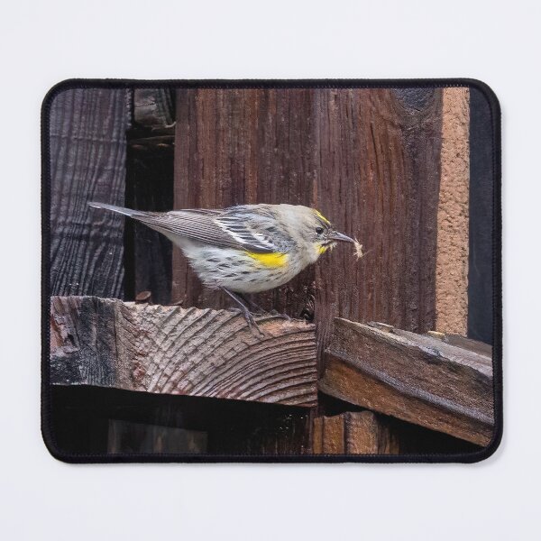 Item preview, Warbler With Bug designed and sold by CarolM.
