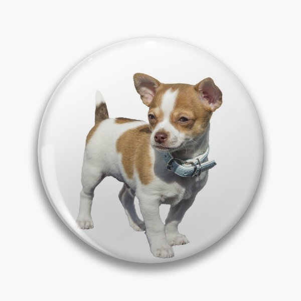 Item preview, Beautiful little dog designed and sold by Metaverse8.