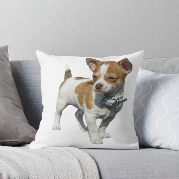 Item preview, Beautiful little dog designed and sold by Metaverse8.