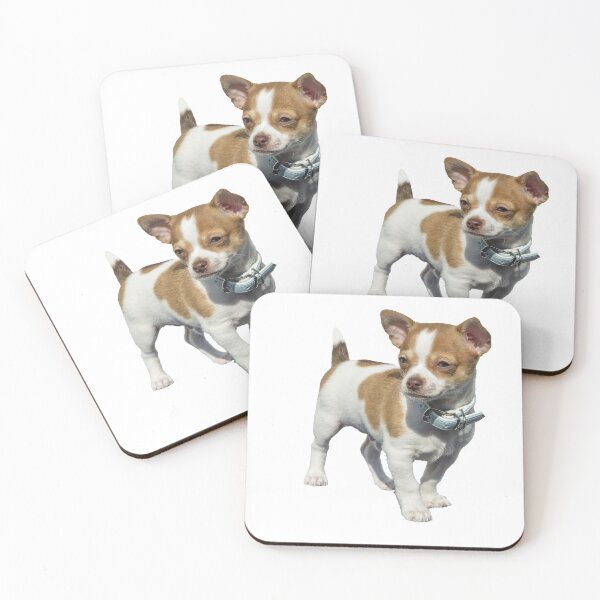 Item preview, Beautiful little dog designed and sold by Metaverse8.
