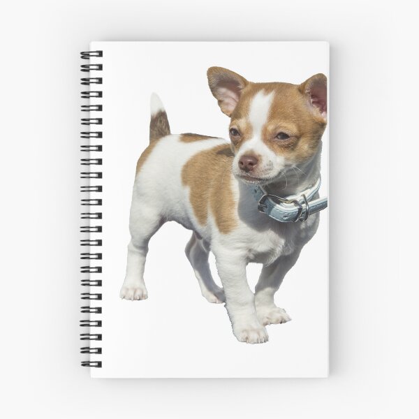 Item preview, Beautiful little dog designed and sold by Metaverse8.