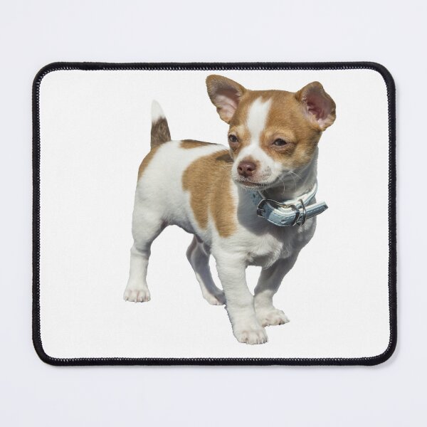 Item preview, Beautiful little dog designed and sold by Metaverse8.