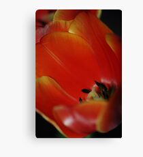 Alien Incarnation Canvas Print