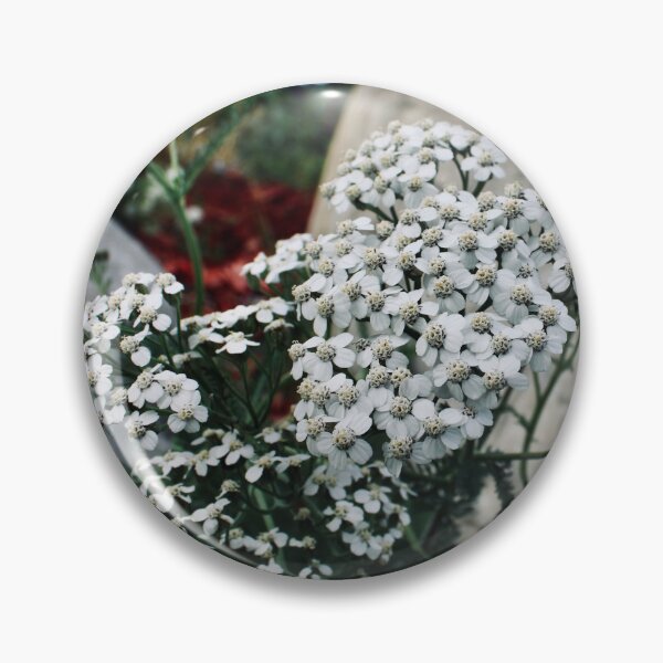 Item preview, Sweet Alyssum designed and sold by RoseyElisabeth.