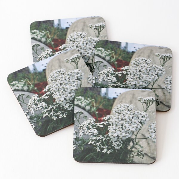 Item preview, Sweet Alyssum designed and sold by RoseyElisabeth.