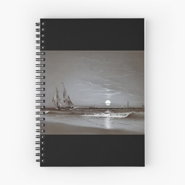 Aperçu de l'œuvre Entrée du port - Beau clair de lune créée et vendue par FreeMindedFun.