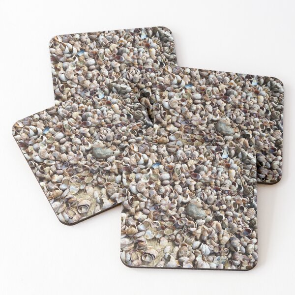 Item preview, Shells designed and sold by BOBBYBABE.