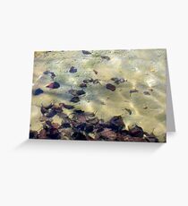 Immersed Greeting Card