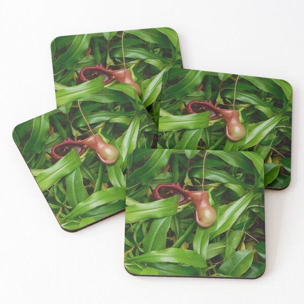 Item preview, Pitcher Plants designed and sold by HFGjewels.