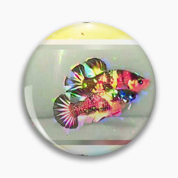 Item preview, Betta Fish, The Best Fighting Fish Type In The World From Asia designed and sold by CDMCustom.