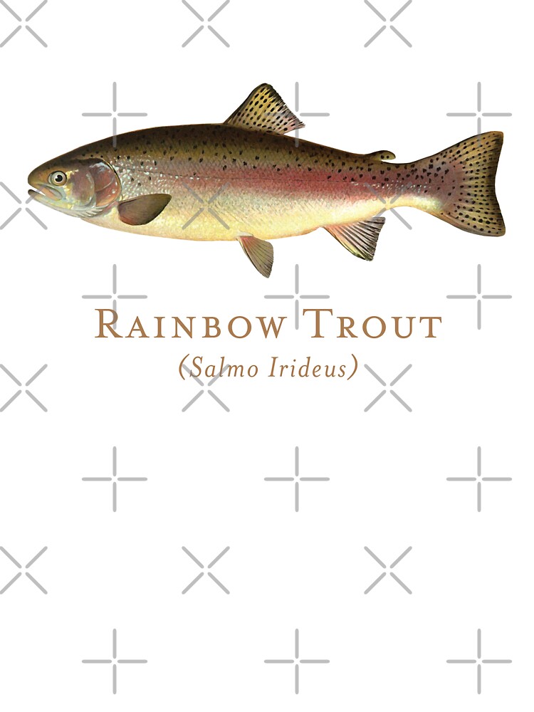 Vintage Rainbow Trout Steelhead Washington Map Fly Fishing T-Shirt