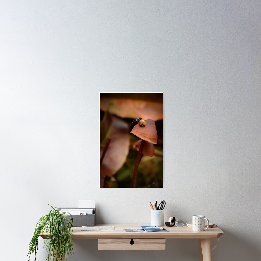 Little bug riding a tiny snail on a small mushroom Poster