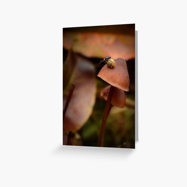 Little bug riding a tiny snail on a small mushroom Greeting Card