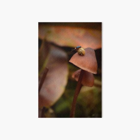 Little bug riding a tiny snail on a small mushroom Art Board Print