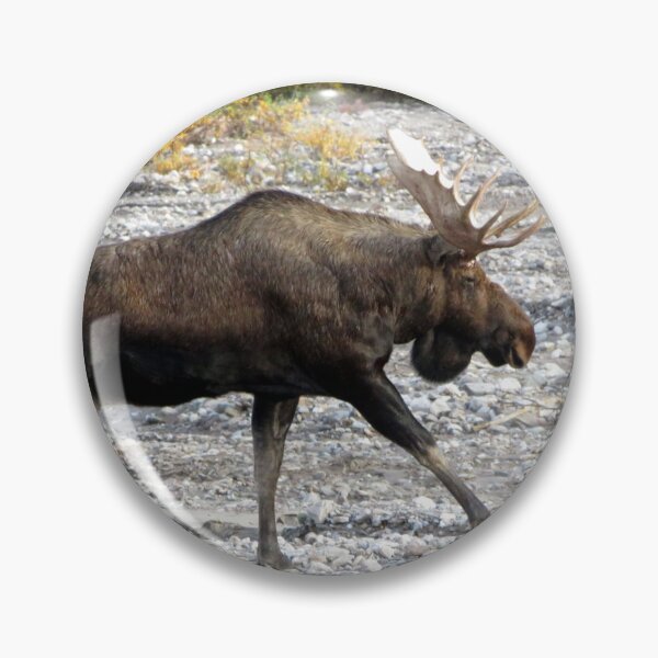 Item preview, Bull Moose designed and sold by sharkbait83.