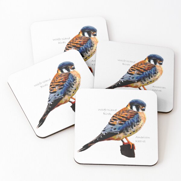 Item preview, Wolfe Island Birds American Kestrel designed and sold by qlajt.