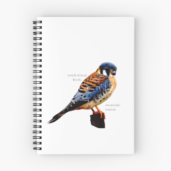 Item preview, Wolfe Island Birds American Kestrel designed and sold by qlajt.