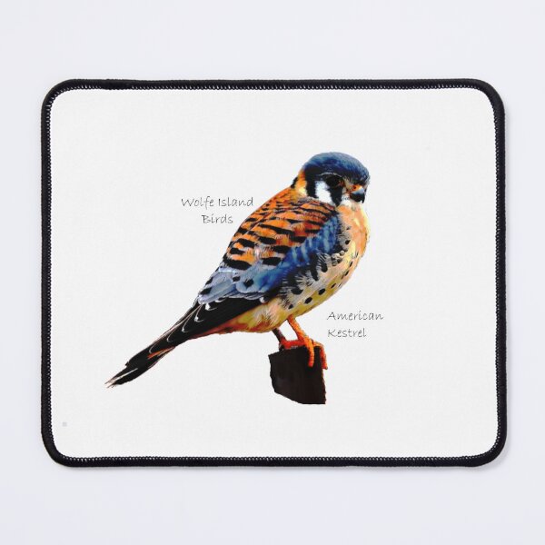 Item preview, Wolfe Island Birds American Kestrel designed and sold by qlajt.