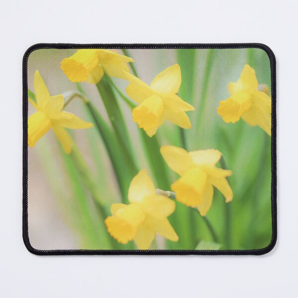Item preview, Spring Equinox designed and sold by Angela King Jones.