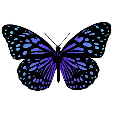 Learn how to draw Beautiful Butterfly step by step APK voor Android Download
