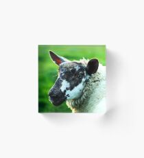 Millie Acrylic Block