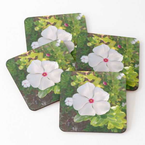 Item preview, White Periwinkle designed and sold by Nesian Tribe Designs.