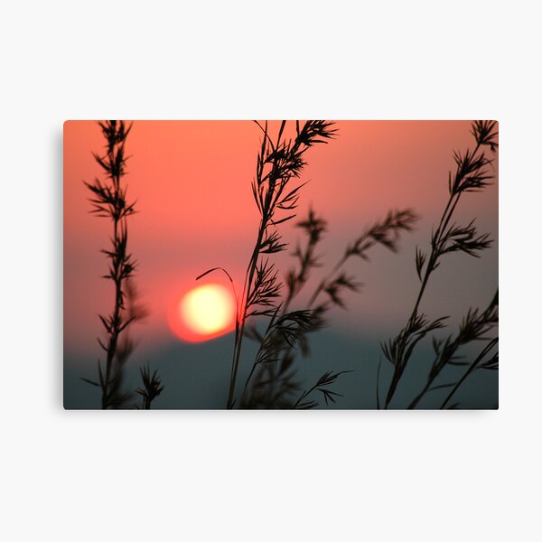 Last touch Canvas Print