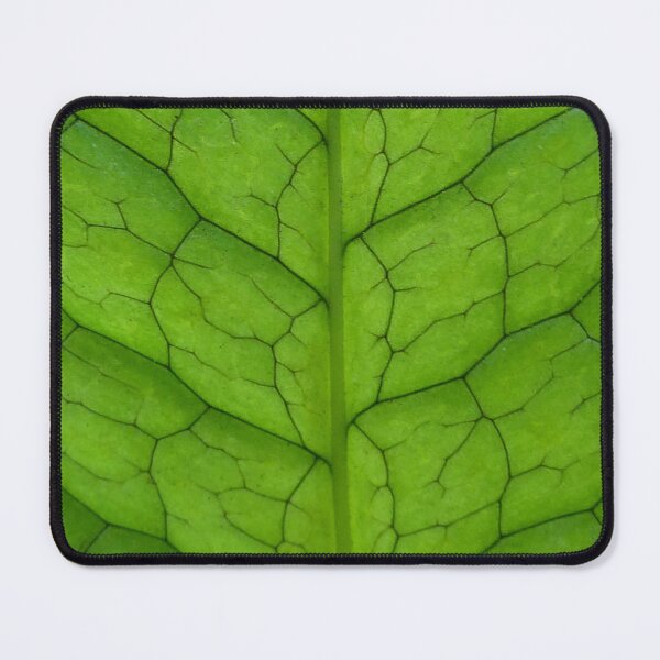 Item preview, Crocodylus Fern Leaf Pattern designed and sold by TropicalFronds.