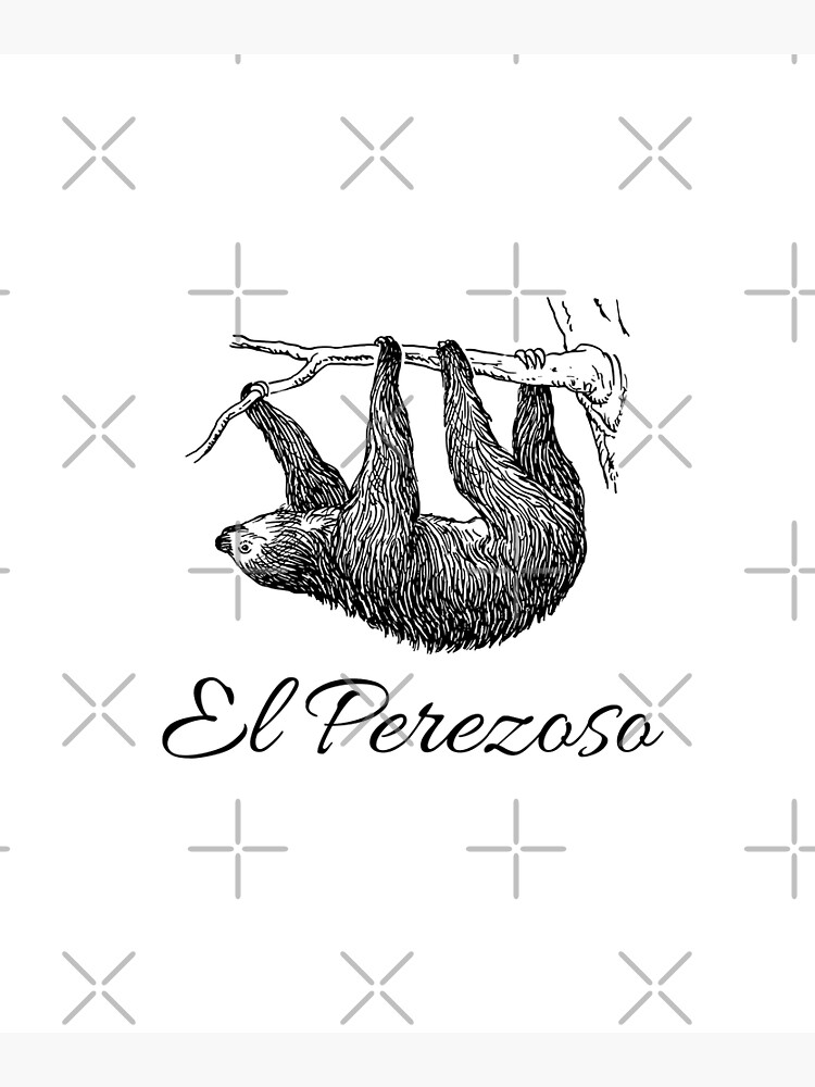 "Spanish Word El Perezoso (The Sloth)" Poster for Sale by