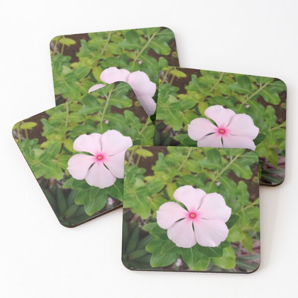 Item preview, Pink Periwinkle designed and sold by Nesian Tribe Designs.