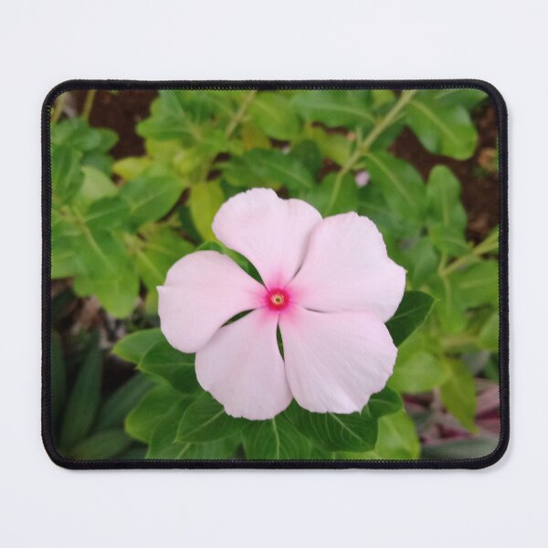 Item preview, Pink Periwinkle designed and sold by Nesian Tribe Designs.