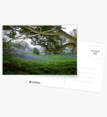 The scent of blue Postcards